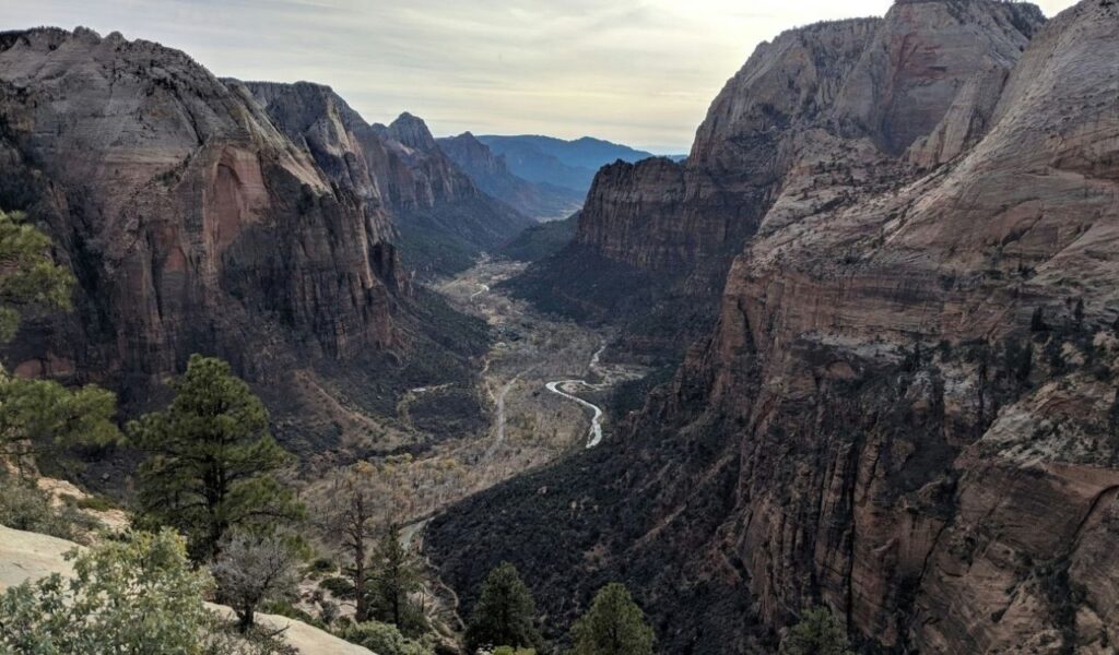 View of Zion Canyon from Angels Landing Trail, Zion National Park, Utah, United States
