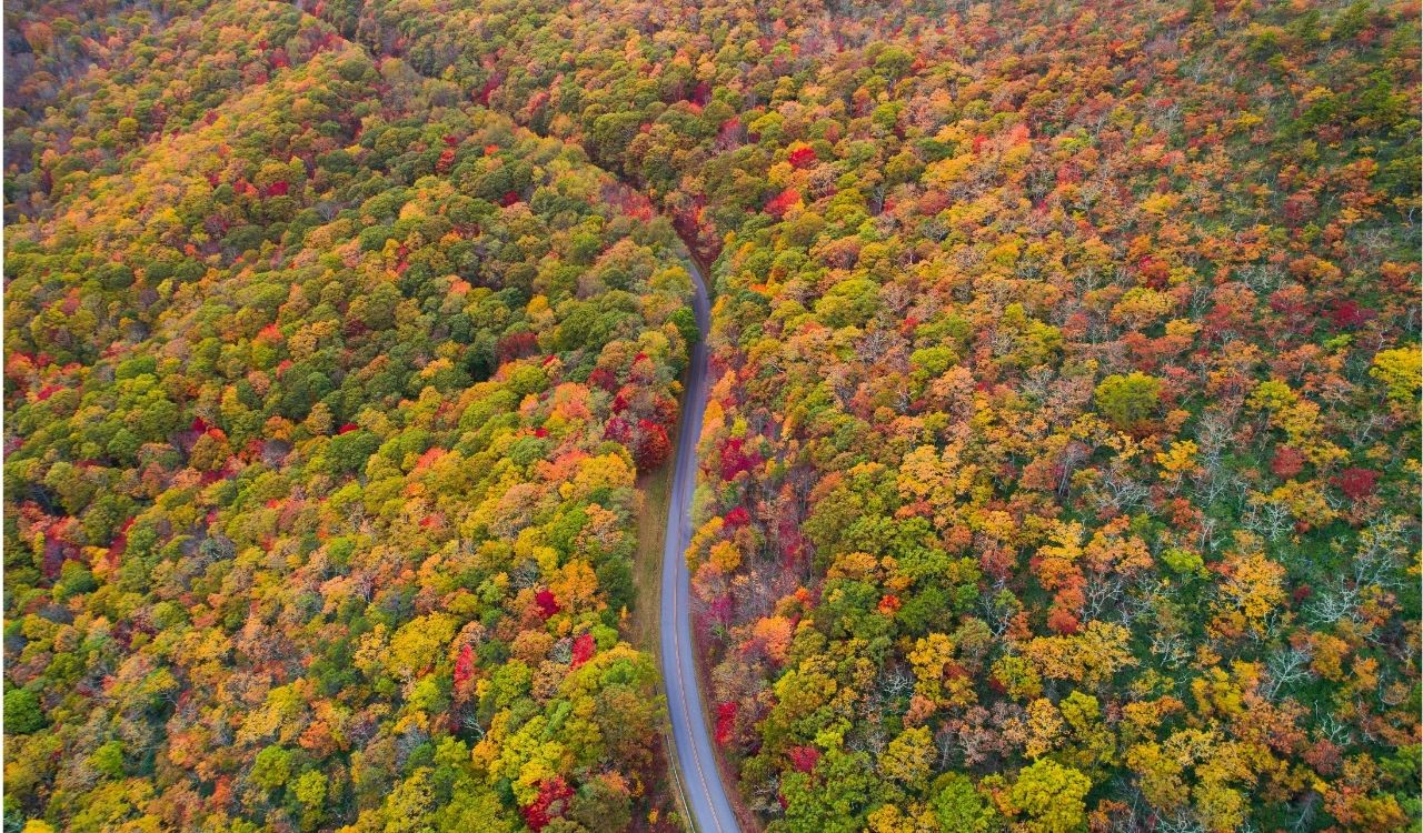 Blue Ridge Parkway, Asheville, United States