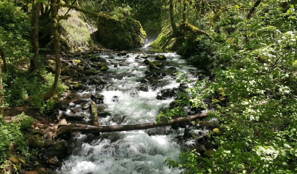 Bridal Veil Falls, Oregon, USA               