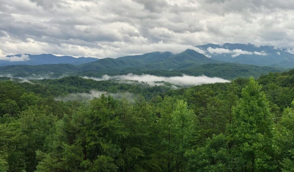 Great Smoky Mountains National Park, USA                     