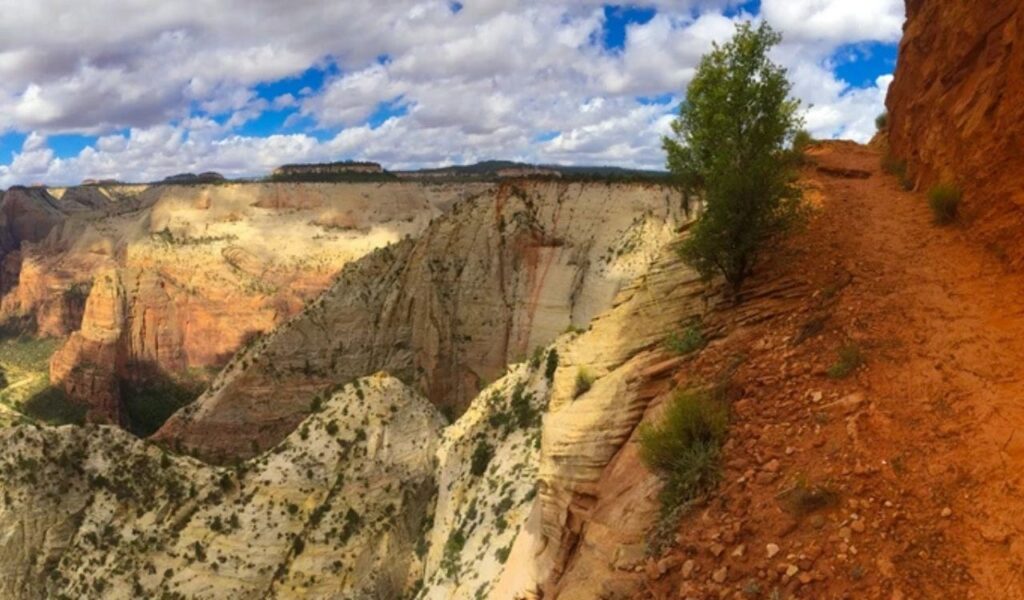 Observation Point Via East Mesa Trail, Zion National Park