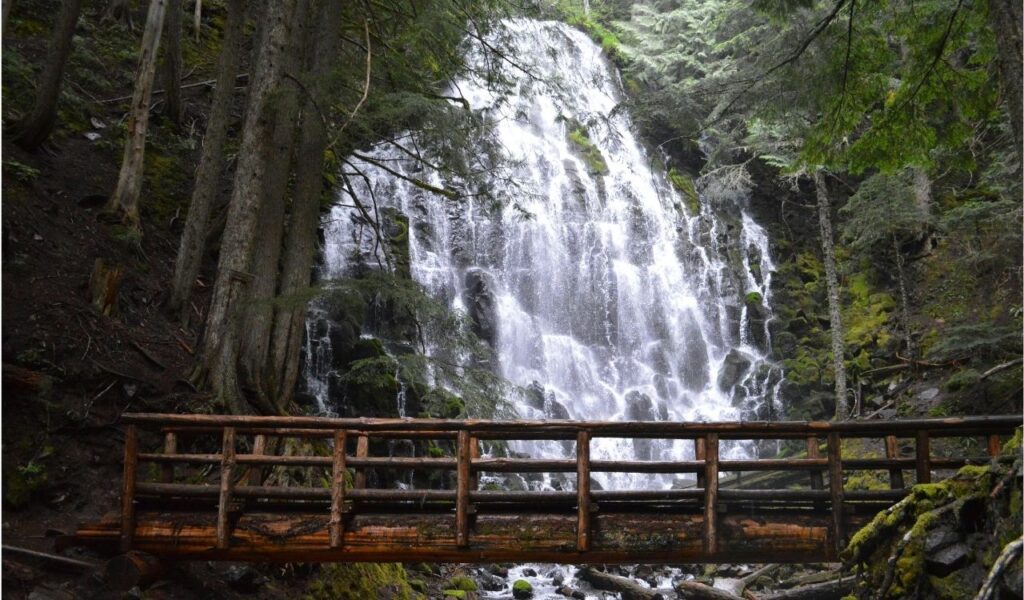 Ramona Falls, Mount Hood National Forest, Oregon, USA               